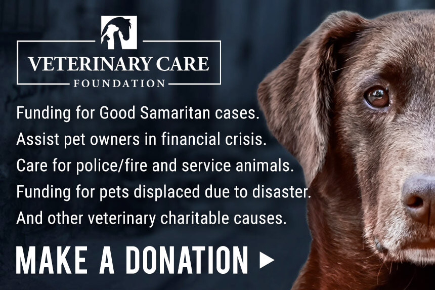 Donate to veterinary charitable causes. Click here.