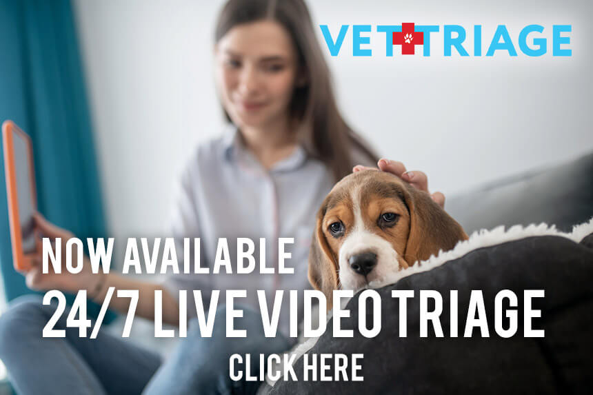 Now Available - 24/7 Live Video Triage - Click here to learn more.