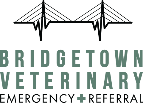 Bridgetown Veterinary Emergency and Referral - Portland, Oregon
