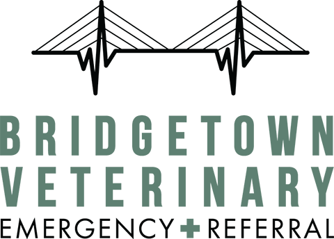 Bridgetown Veterinary Emergency and Referral